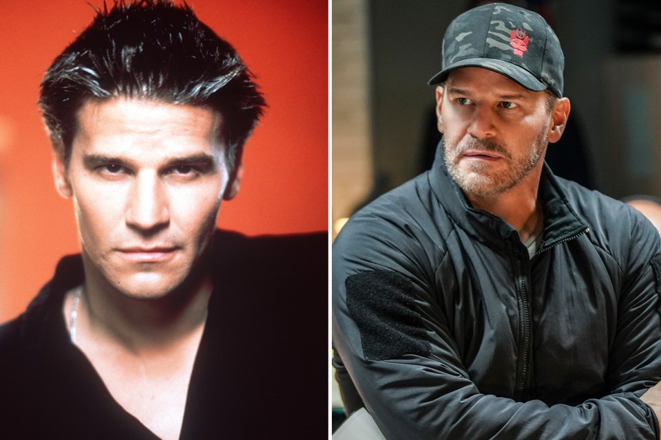 Fans were shocked when David Boreanaz's affair came to light