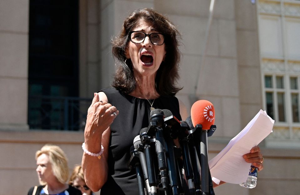 Diane Foley, the mum of US hostage James Foley, speaking after the hearing