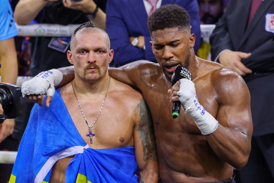 Joshua has reflected on the fight and his speech after the contest