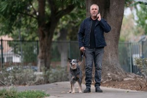  Harry Bosch returns