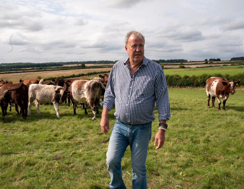 Jeremy has been chronicling his farming adventures in docu series Clarkson's Farm