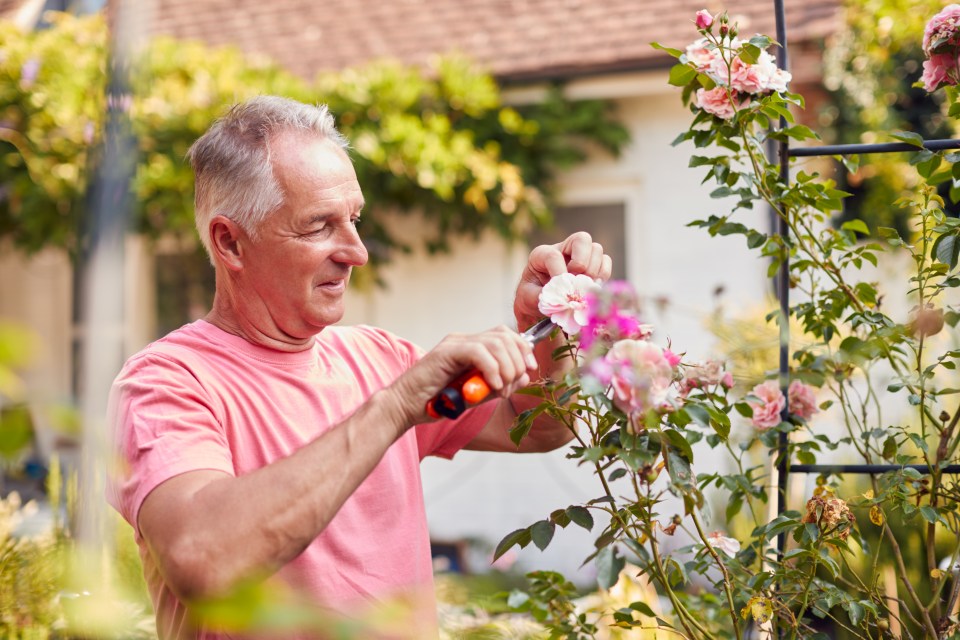 Gardening can also build confidence and self-esteem