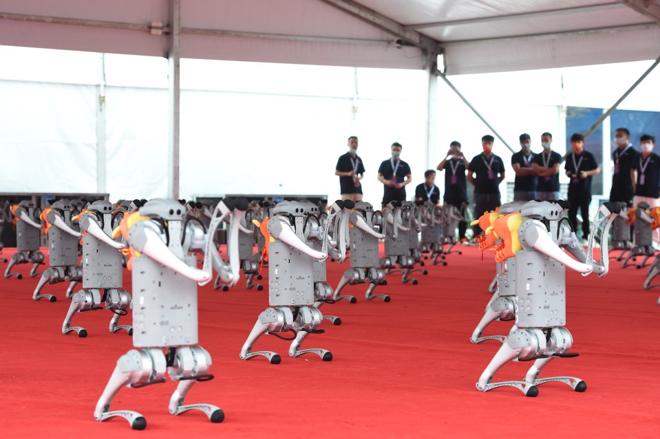 Robotic dogs dancing were also on display in Beijing