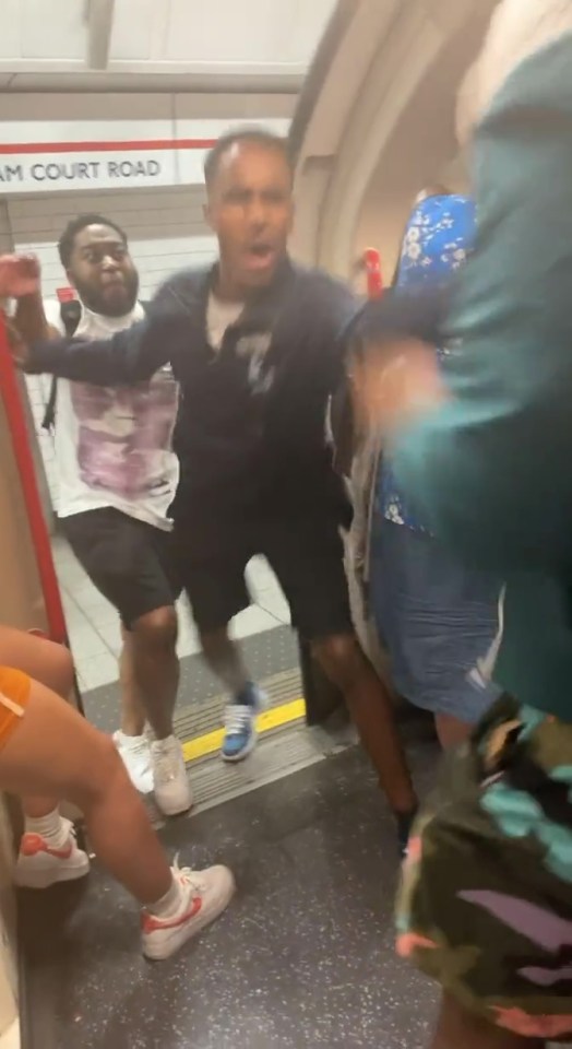 Footage shows the two thugs attempting to grab a passenger off the packed London tube