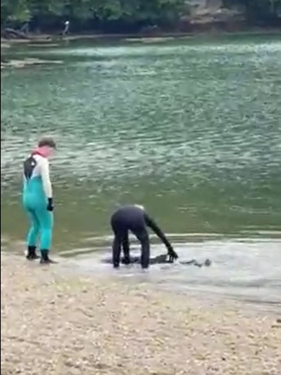 Footage has emerged of a woman trying to help the shark swim away from the bank