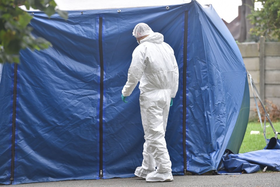 Forensic officers erected a forensics tent just off Warne Avenue in Droylsden