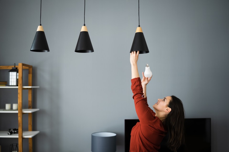 The woman told the Facebook group she paid £1 each for the LED bulbs at a poundshop (stock image)