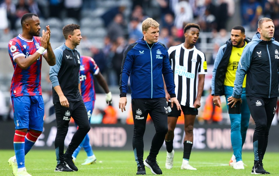 Crystal Palace drew with Newcastle at St James' Park last weekend