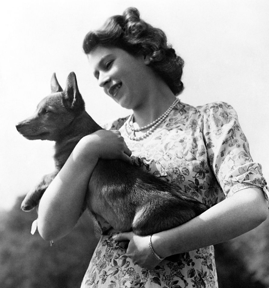 File photo dated 21/9/1950 of Princess Elizabeth holding a corgi. During her reign, the Queen owned more than 30 corgis