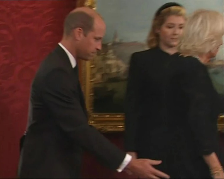 The sweet moment Prince William offers a steadying hand to Camilla at the historic ceremony