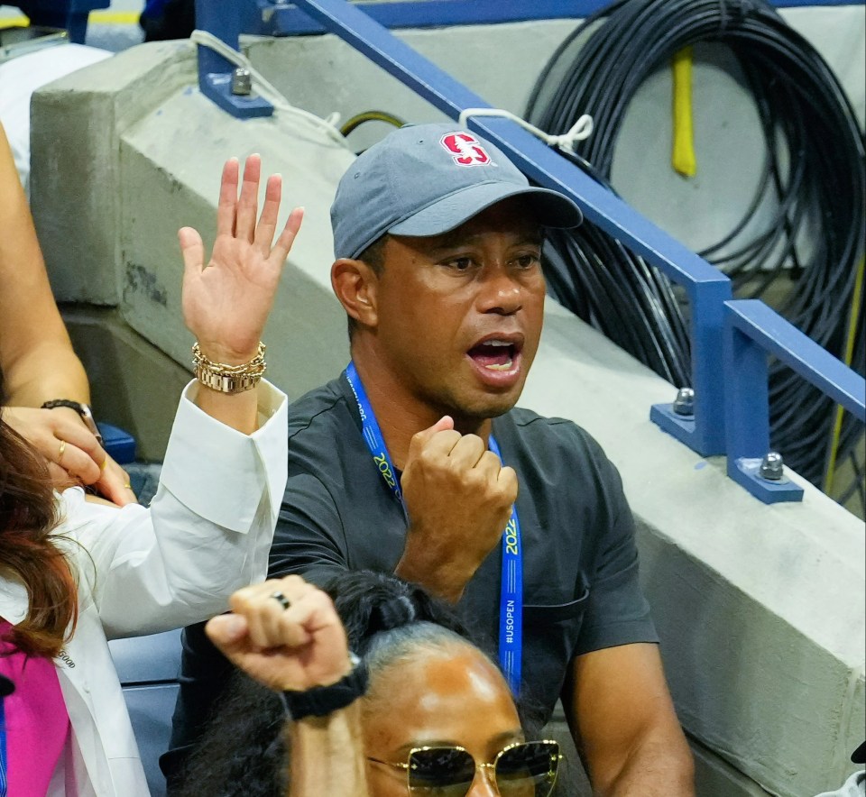 Woods - who cheered on Serena from her players box on Wednesday - thanked Williams for 'inspiring him to pursue his dreams'