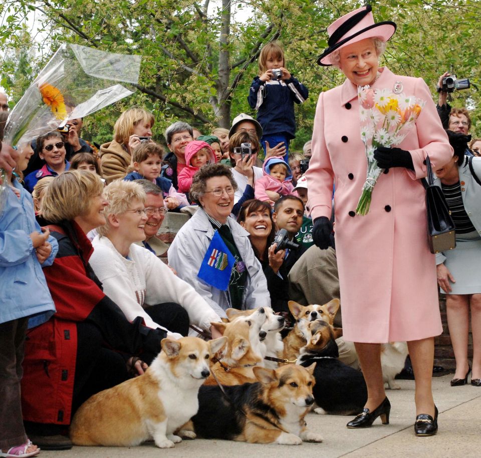 The Queen was very fond of her corgis and doted on a number of them for decades