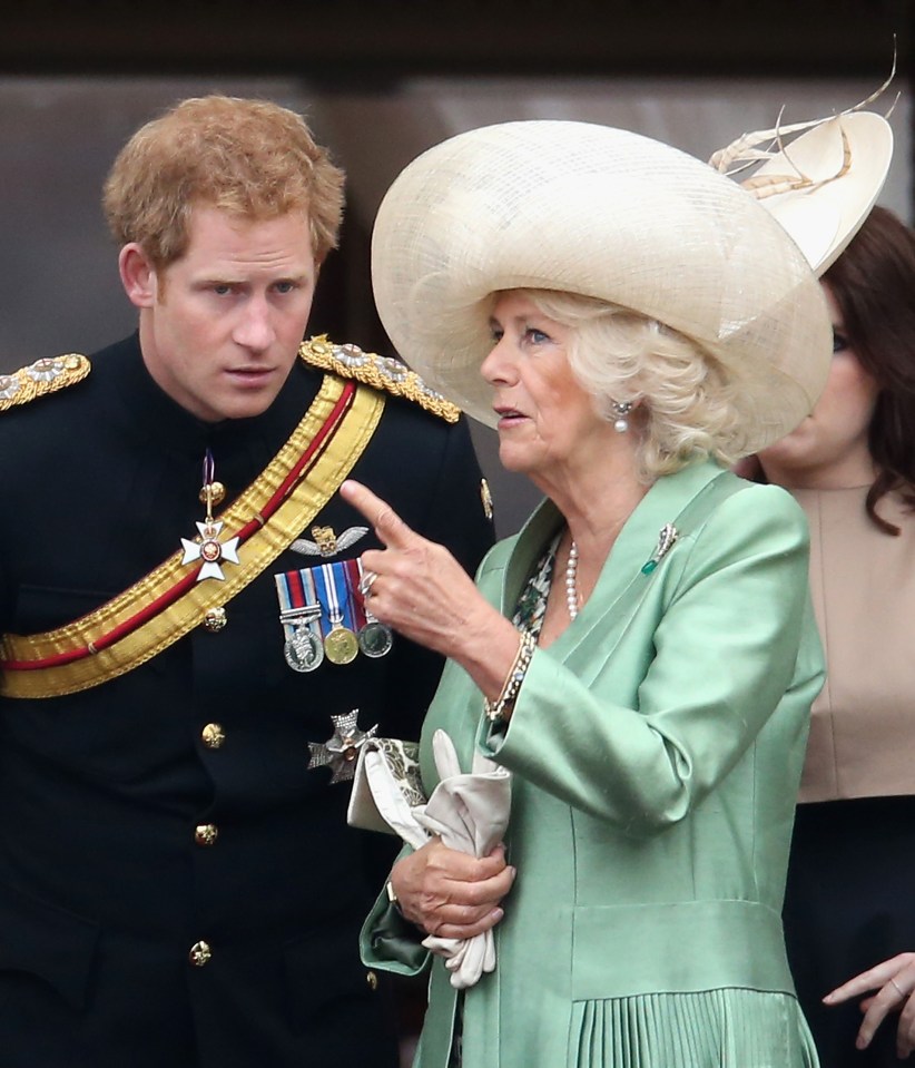 Queen Camilla reportedly spat out her tea in shock over Harry's attempt to heal the family rift