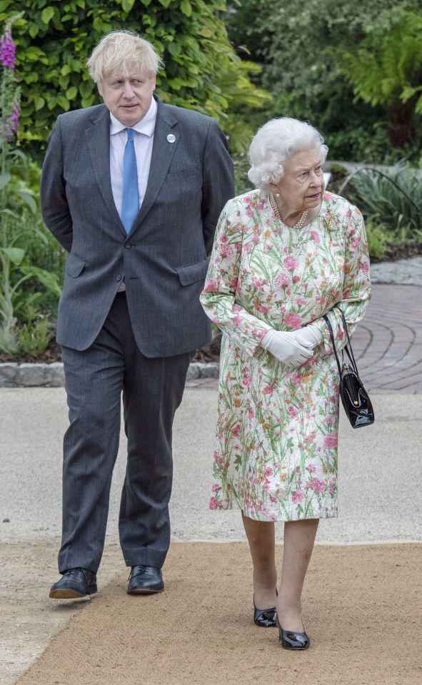 Mr Johnson pictured with the monarch last year