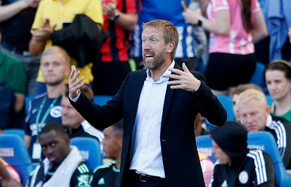 Brighton boss Graham Potter is being up by Blues owner Todd Boehy