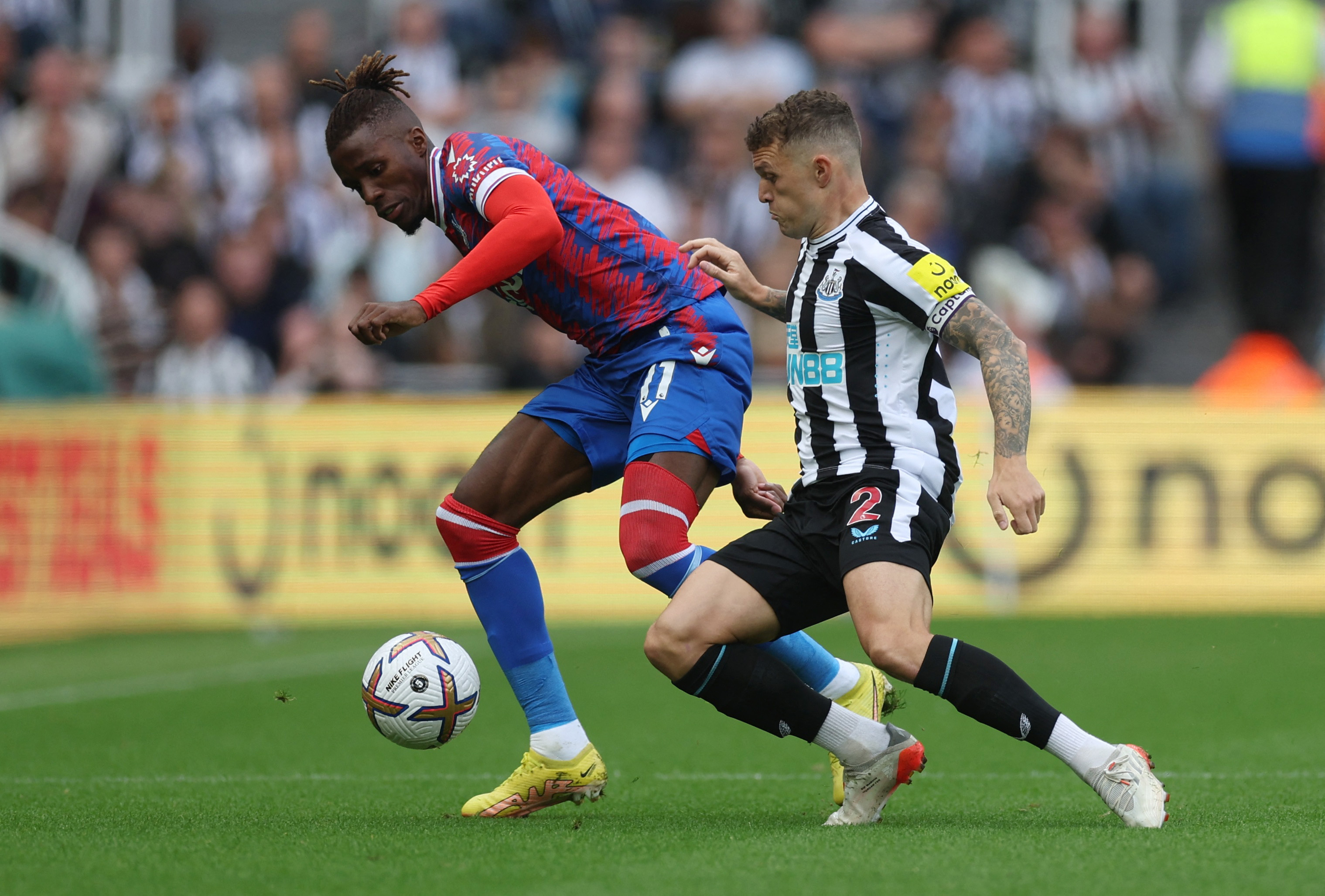 Zaha has had a great season so far.