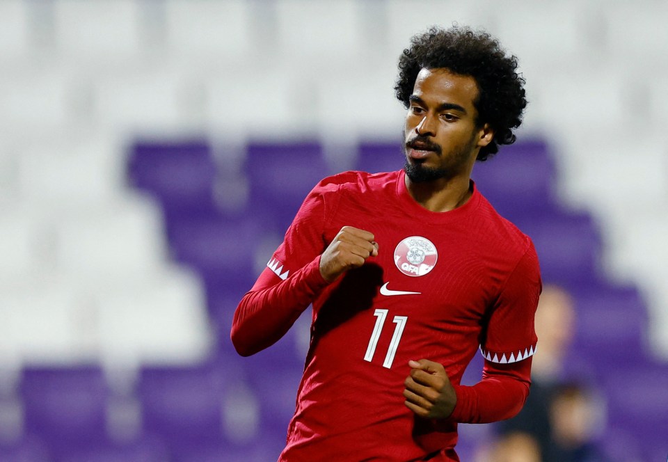 Qatar are controversially hosting the World Cup