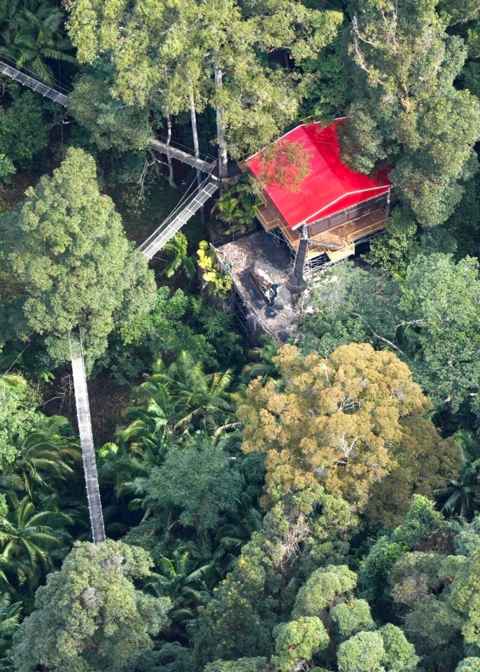 The famous jungle walkway used as celebrities exit camp remains in place