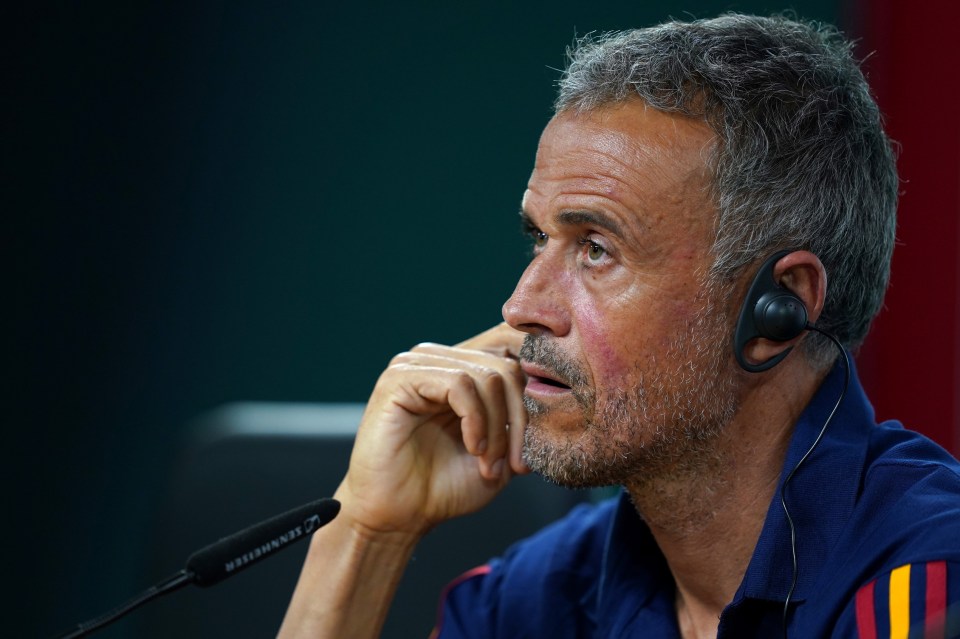 Luis Enrique admitted rivals Portugal 'had better players than Spain' ahead of the World Cup