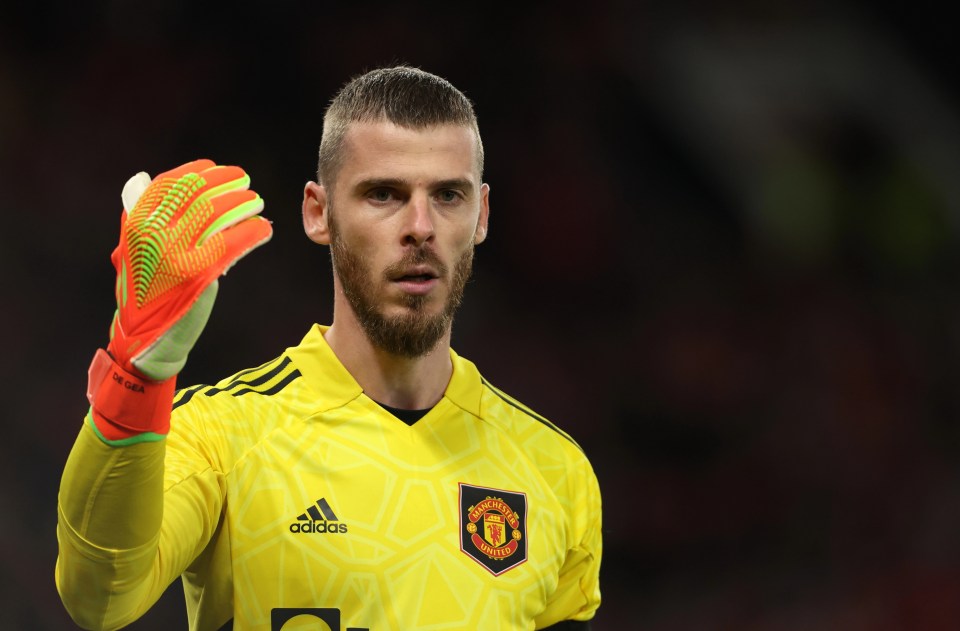 Manchester United star David de Gea has been omitted from Spain's squad