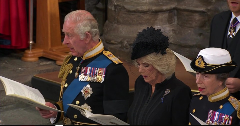 King Charles led mourners at the state funeral for Queen Elizabeth II