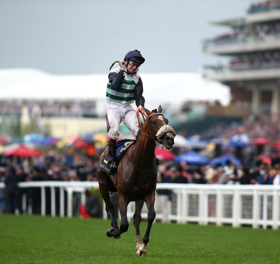 Oisin scores a winner on Dashing Willoughby at Royal Ascot, 2019