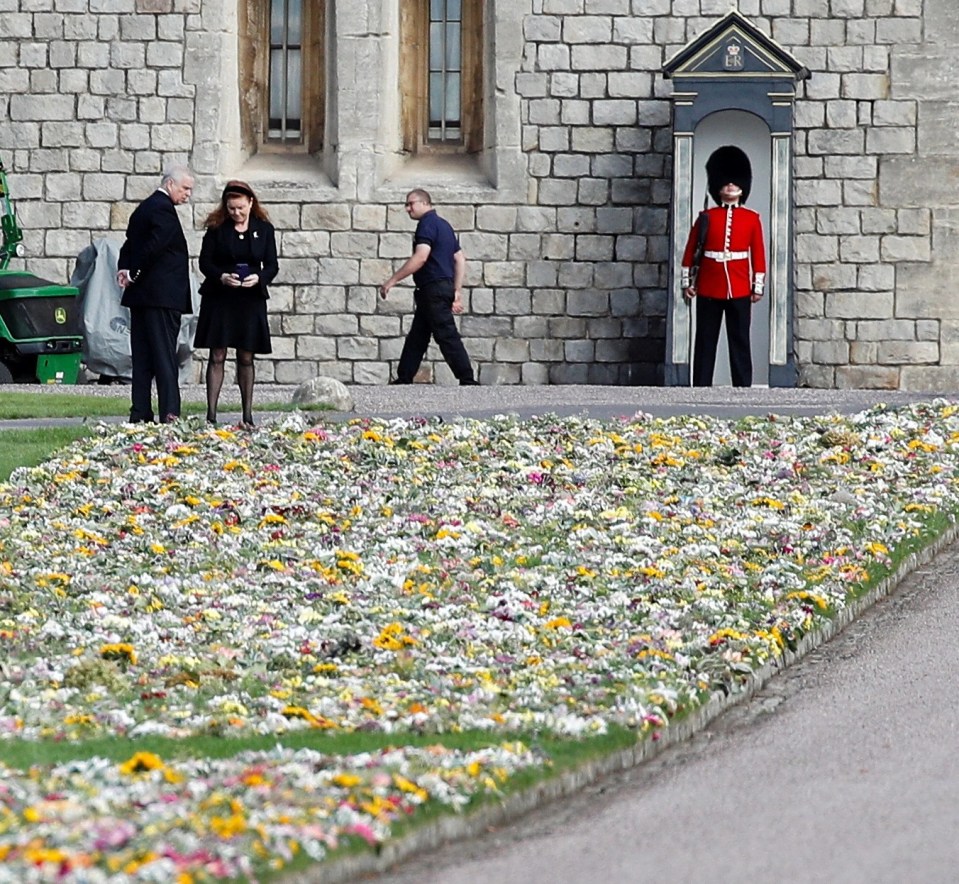 The Duke of York looked deep in thought as he walked through the grounds to view the sea of flowers