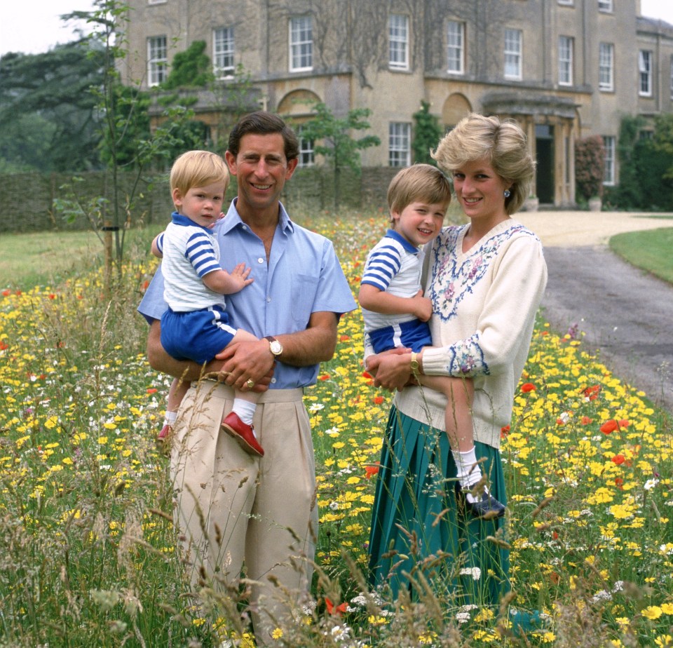 From the outside Prince Charles and Princess Diana had looked like a happy family