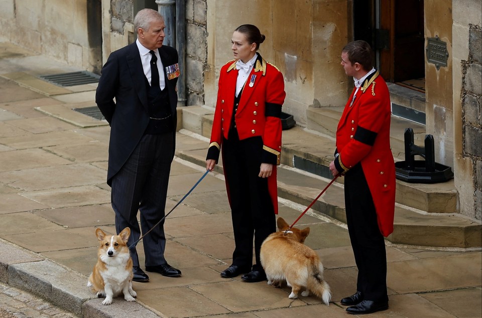 Andrew was given care over The Queen's beloved corgis