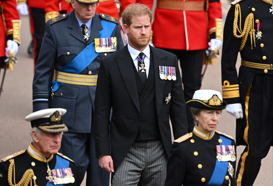 Prince Harry makes his way to the committal service