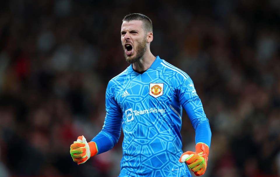 Manchester United star David De Gea is being targeted by Juventus