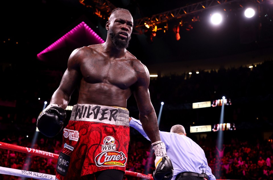 The Ukrainian wants to fight Deontay Wilder