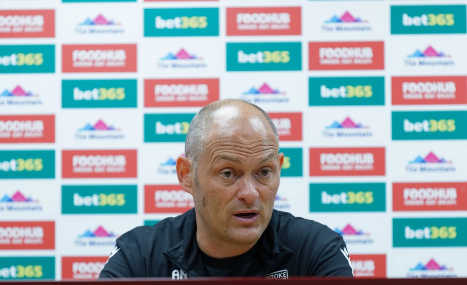 Stoke have just appointed Alex Neil as their new manager