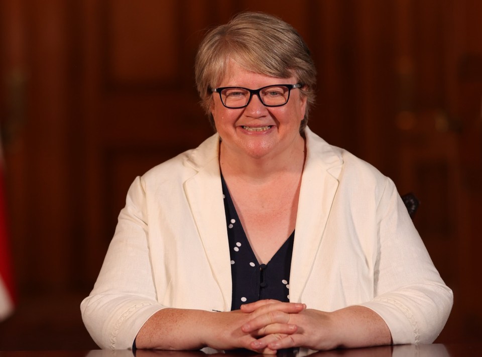 Therese Coffey is the new Deputy PM