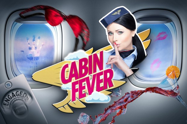 an advertisement for cabin fever features a stewardess