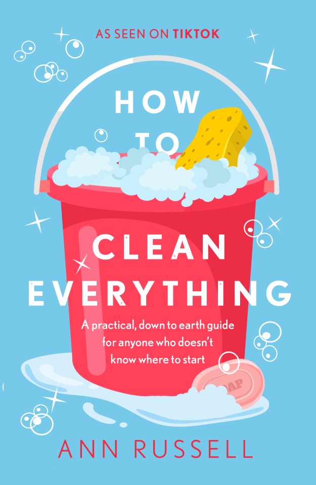 How to Clean Everything by Ann Russell is available now (Headline Home, £12.99)