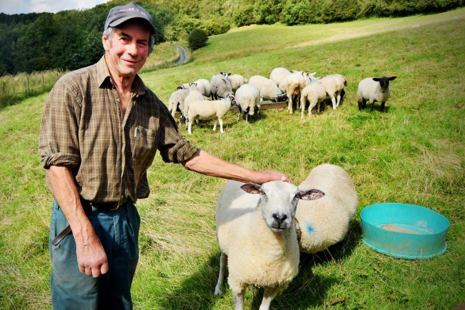 The Yorkshire Vet returned to screens with a shock problem