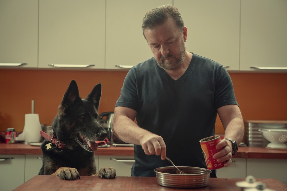 Ricky Gervais has hit back after his hit Netflix series After Life was branded ‘abysmal’ by a comedy rival