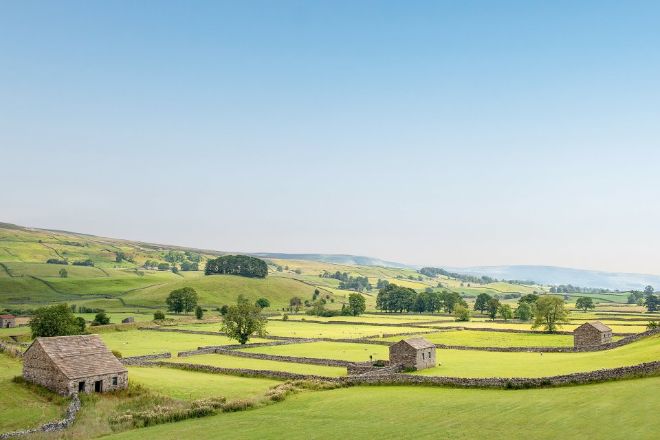 Viewers will be treated to lots of shots of beautiful countryside as the vets go about their business on the show