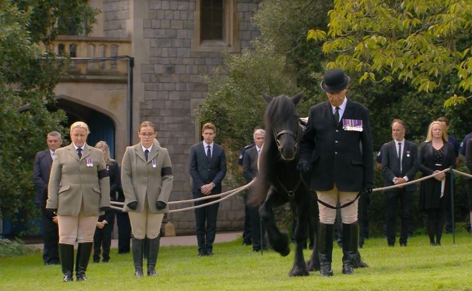 The pony lifted her left as the cortege passed