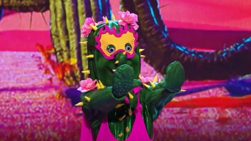 The Masked Dancer’s cactus performed for the first time on Saturday night and left the star detectives baffled