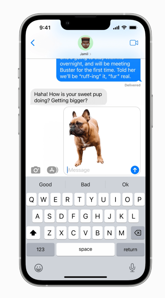 You can paste these cut-outs into other apps like Messages