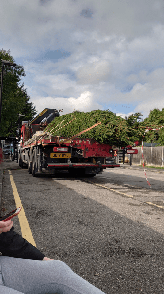 An eagle-eyed fan recently spotted a Christmas tree on set