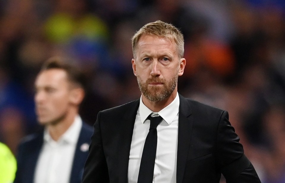 Brighton were on the lookout for a new manager after Graham Potter joined Chelsea