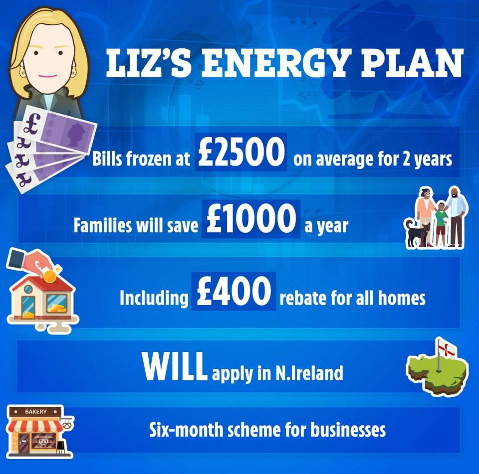 The Prime Minister's energy plan