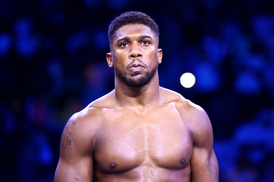 Joshua publicly accepted the WBC heavyweight champ's call out