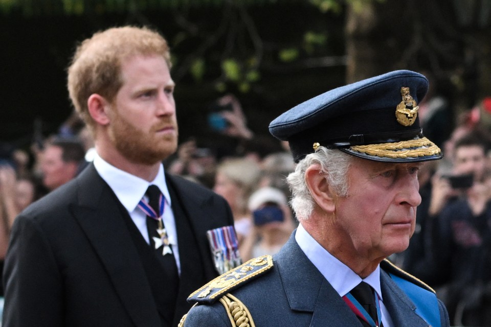 Harry and William walked behind their father, King Charles