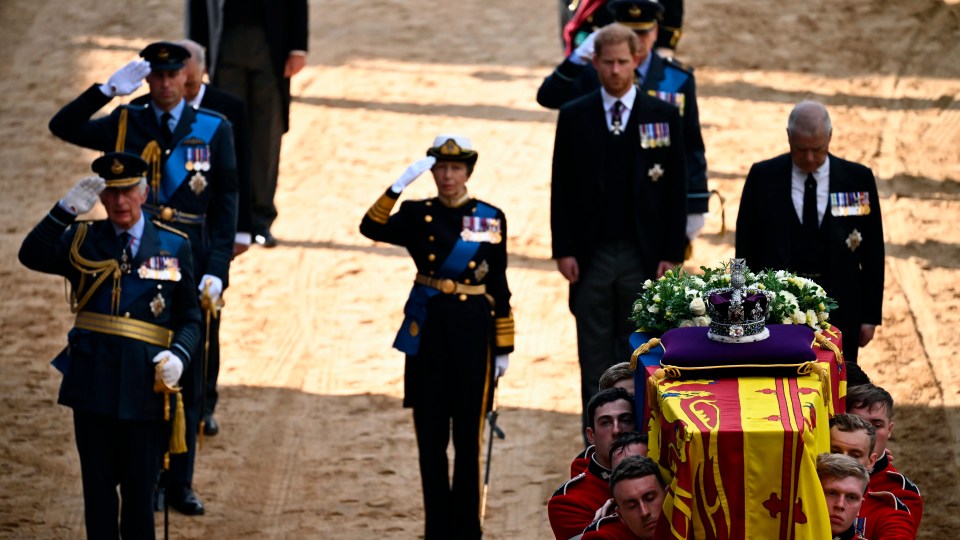 The Royals - except Prince Harry and Andrew - salute as the coffin go past