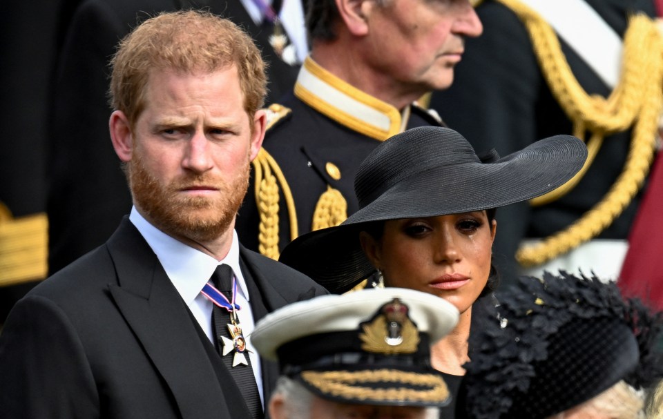 Meghan appeared to struggle to fend off the tears alongside Prince Harry at the Queen's State Funeral