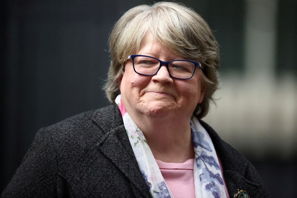 Therese Coffey unveiled her plan to save the NHS in the Commons today